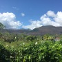vue du jardin de la soufrière